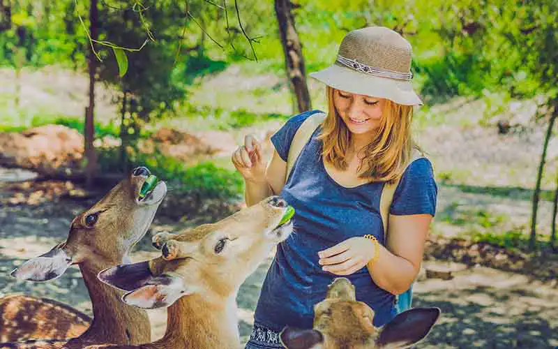bali zoo